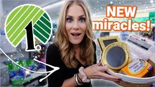 NEWEST Dollar Tree ORGANIZATION! 🔥 Laundry Room Miracles! ✨