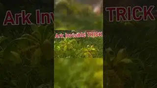Ark Ascended Invisible Tip 
