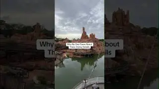 Why No One Cares About These Disney Details #disney #disneyparks #disneyshorts