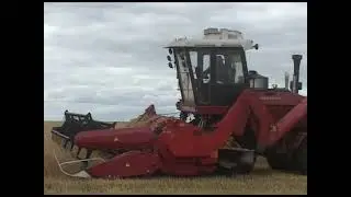 Уборочная. 2000 год. Комбайн 