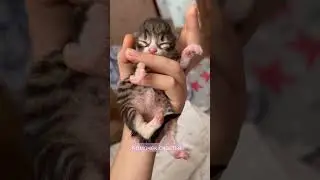 Как можно было его выбросить?