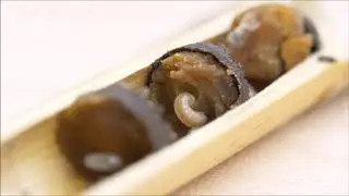 Entwicklung Gehörnte Mauerbiene (Osmia Cornuta)