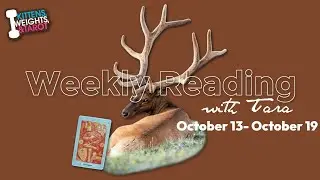 🦌LIVE: Channeling Native Ancestors + Weekly Reading