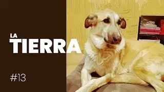 🔴Acabamos de pintar a Tierra con los detalles del fondo 🌍🐶 || 🎨💻ILUSTRACIÓN DIGITAL💻🎨 ||  Tierra #13