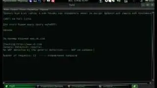 Wafw00f в kali linux