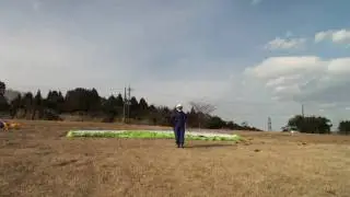 sprint ライズアップ