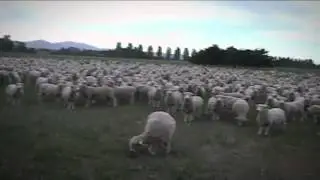 Значение угла Р , ответы на вопросы