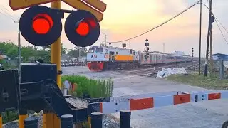 3 Perlintasan Kereta Api Otomatis | ALKMAAR x VIALIS | Palang KAB Rusak