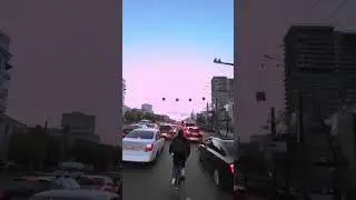 Автобусы НЕ гладим! Кайфуем в трафике