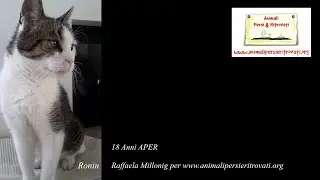 APER festeggia 18 Anni – Come Ronin ed io ci incontrammo