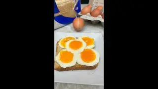 Frozen Eggs
