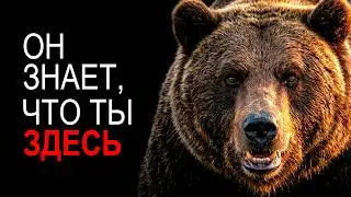 THE BEAR IS THE MOST TERRIFYING BEAST IN RUSSIA!
