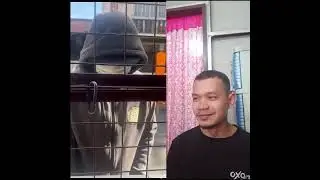 GCASH SCAMMER PINOY MEMES FUNNY VIDEO COMPILATION