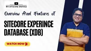 24- Sitecore Experience Database (xDB) : A Comprehensive Overview And Features Explained | Analytics