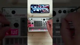 Volca Sample | Sample Pack: Vintage Vibes vs Modern Analog #shorts  #volcasample #samplepack