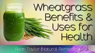Wheatgrass Juice: Benefits and Uses