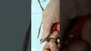 ТІГІН ӨНЕРІ