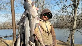 Let’s go run the TROT LINE in the winter CATFISH on