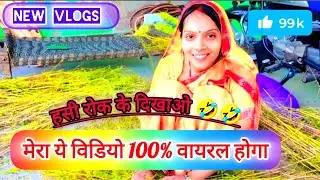 How to Viral YouTube Vlogs | life मे first time खेत में धनिया काटने गई | ये वीडियो पक्का वायरल होगा