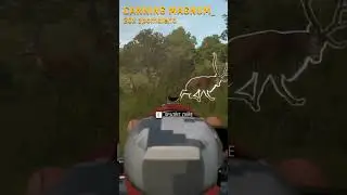 Canning magnum slowmotion | theHunter: Call of the wild