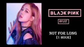 ROSÉ (BLACKPINK) - Not for long [1 HOUR]