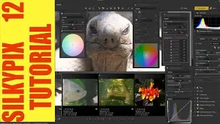 🚨 Silkypix Developer Studio Pro 12 Tutorial Photo Editing Local AdjustMents Export.