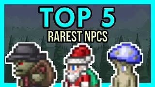 TOP 5 Rarest NPCs in Terraria 1.4