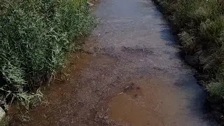 “ACİL EYLEM PLANI HAYATA GEÇİRİLMELİ”