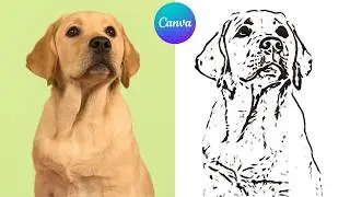 Convert Photos To Amazing Line Art - In Just One Click! Without Canva Pro