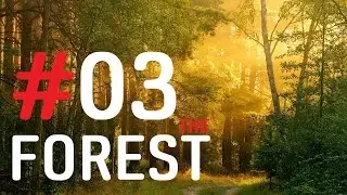 The Forest | #03 | Baupläne! [BMG]