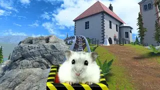 Hamster in Roller Coaster