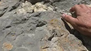 Ущелье Хазнидон в июле. КБР