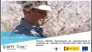 Proyecto 23CLN1_1 VARIEDADES DE ALMENDRO DE FLORACIÓN TARDÍA SOBRE DIVERSOS PATRONES