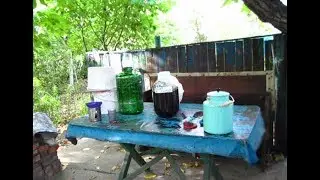 Отжимаем СУСЛО из МЕЗГИ из ВИНОГРАДА АЛЬФА. Добавляем сахар и воду