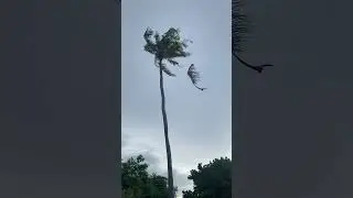 Ini kenapa? semoga tak seramai di tiktok 