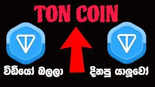 විඩියෝව බලලා ton දිනපු අය