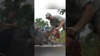 Why do they cut off a rhino's horn? What's its value?