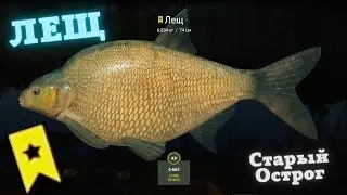 Русская рыбалка 4 (РР4) оз. Старый Острог ЛЕЩ /Russian fishing 4 Old Burg
