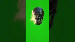 Skull transition