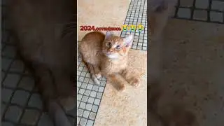 2024,остановись😭😭😭 