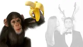 The 