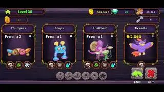 playing msm