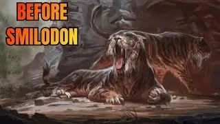 Machairodus - The 