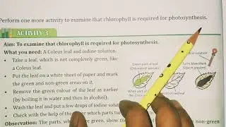 Class -4 | Science | Chapter -1 (More About Plants) Part-2