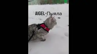 пыяла- Aigel speed up от Таси