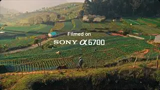Sony a6700 Video Test | | Best camera for travel photography | How to Make cinematic video