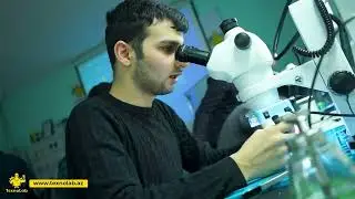 “Mobil Telefonların Təmiri” təlimindən