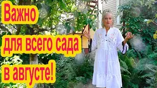 Важный приём для августовского сада