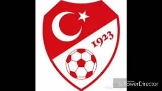 Türk Gücü