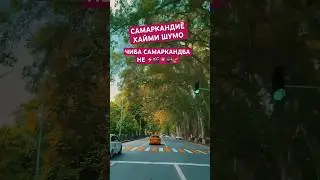 САМАРКАНД N1 #alishermedia #automobile #чириксити #rek #москва #мусофирлар